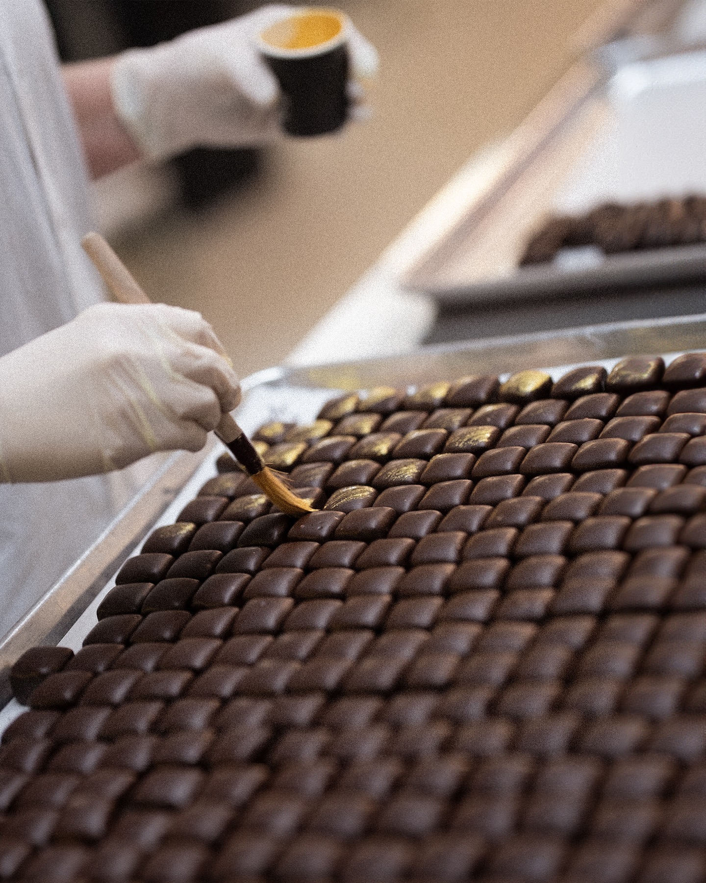 Chocolate Business Growth